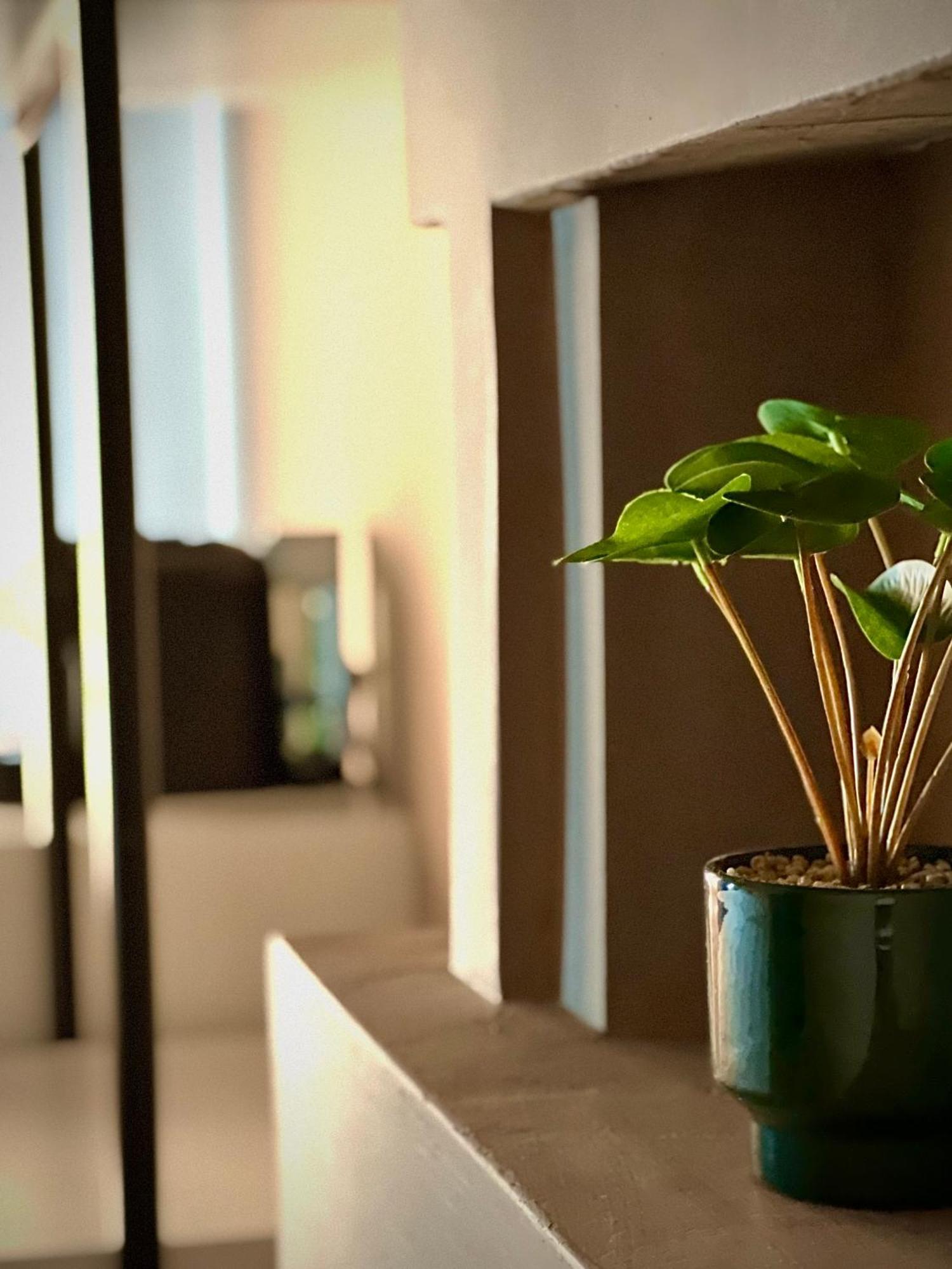 Rex Hotel Boutique تيرانا المظهر الخارجي الصورة